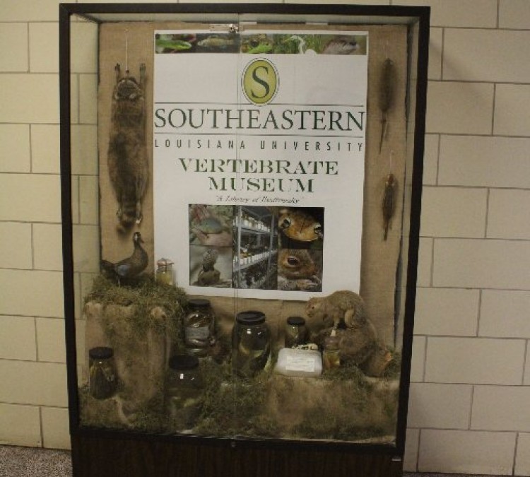 southeastern-louisiana-university-vertebrate-museum-photo
